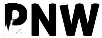 Black and white letters 'N' and 'V' with a shadow effect.